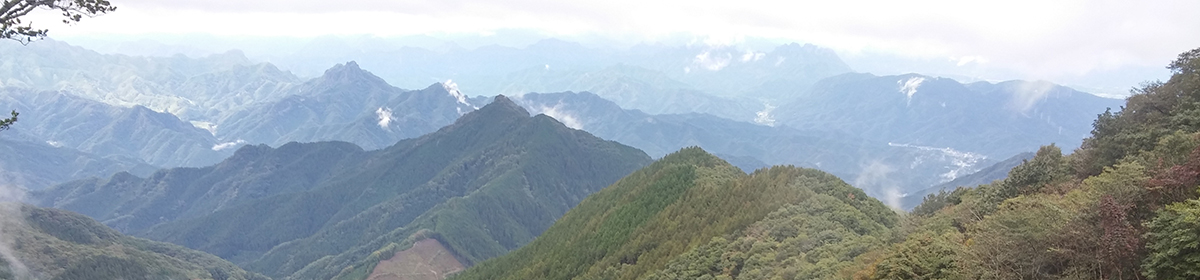 La Pomme de Pin  -Ter