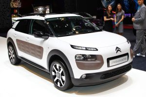 C4 Cactus